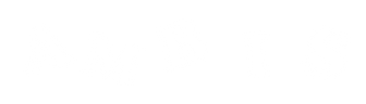 Ambis